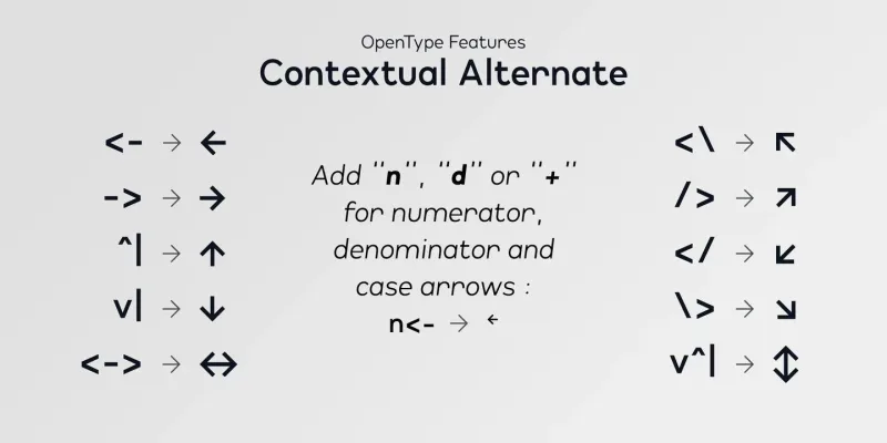 Lonie Font Family preview 7 – Sans Serif Fonts font sample