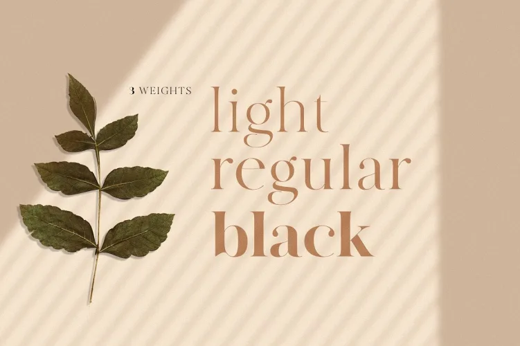MADE Canvas Font preview 2 – Serif Fonts font sample