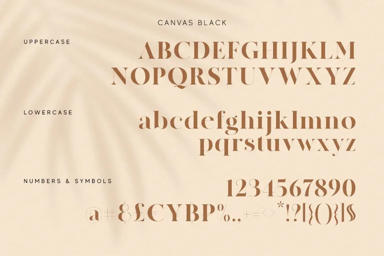 MADE Canvas Font preview 5 – Serif Fonts font sample