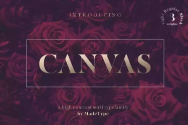 MADE Canvas Font free download – Serif font preview