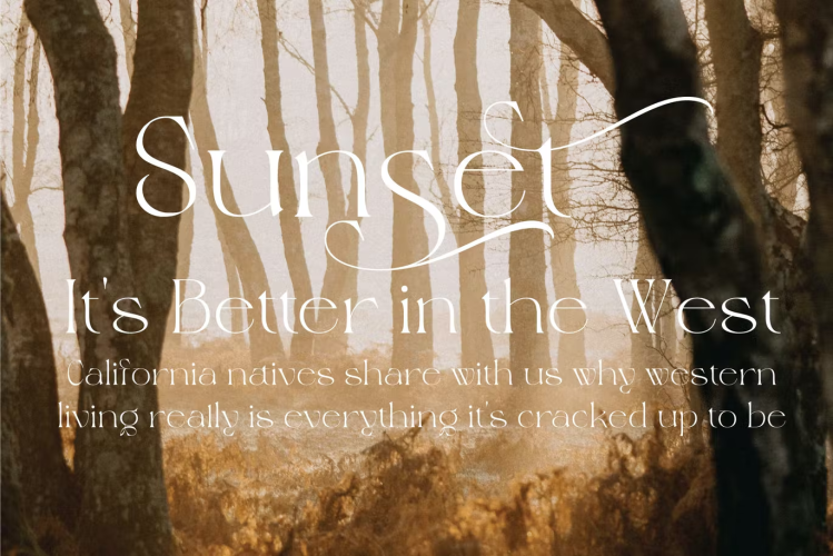 Magero Elegant Serif Font free download preview 2 – Serif Fonts font