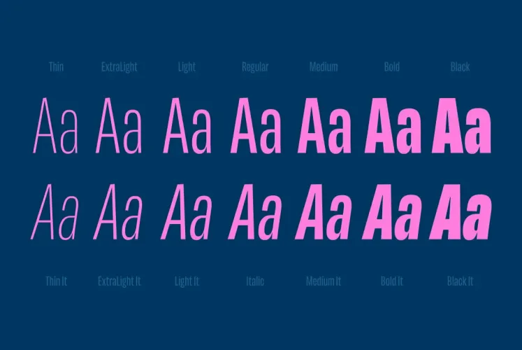 Maleo Font Family preview 1 – Sans Serif Fonts font sample