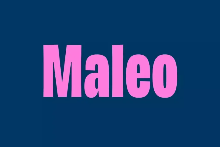 Maleo Font Family preview 6 – Sans Serif Fonts font sample