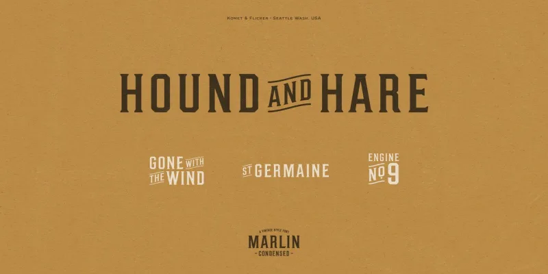 Marlin Font Family preview 3 – Serif Fonts font sample