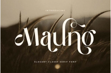 Maung Font free download – similar font preview