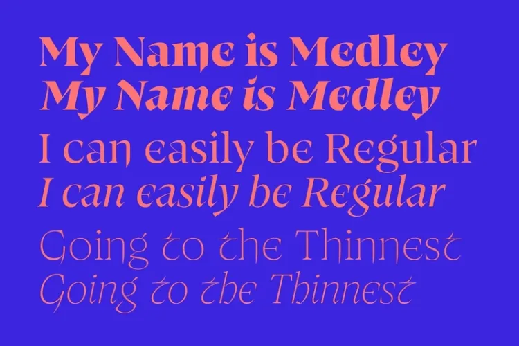 Medley Font Family preview 3 – Serif Fonts font sample