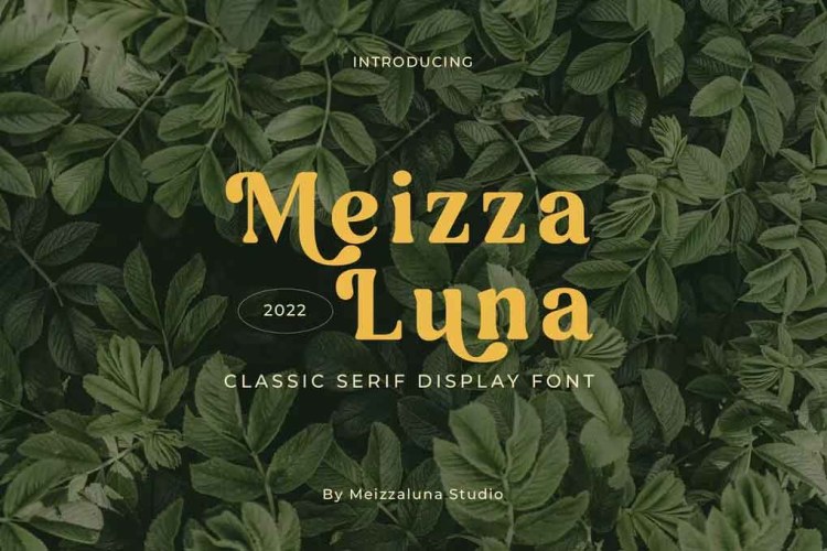 Meizzaluna Font free download preview 4 – Serif Fonts font