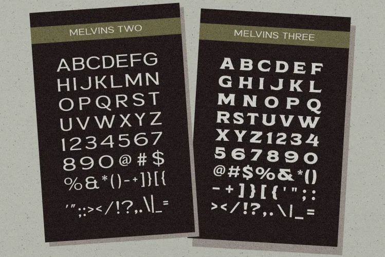 Melvins Font preview 10 – Display Fonts font sample