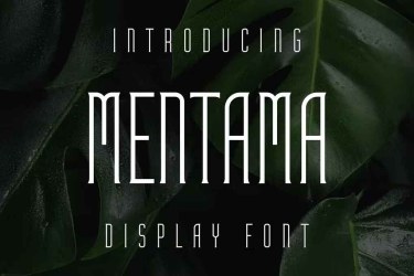 Mentama Font free download – Branding font preview