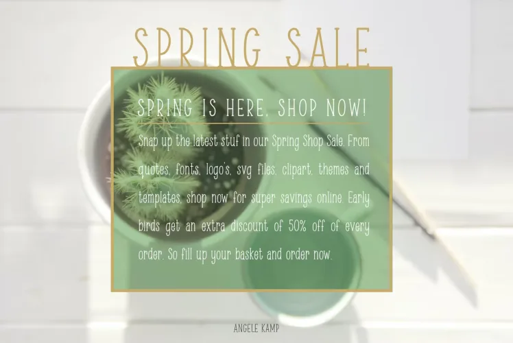 Minty March Condensed serif font preview 3 – Serif Fonts font sample