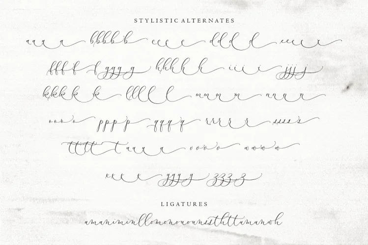 Modella – Modern Wedding Fonts preview 2 – Script And Handwritten font sample