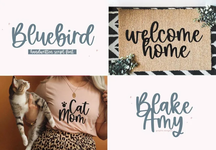 Modern Script Fonts Bundle preview 2 – Modern Fonts font sample
