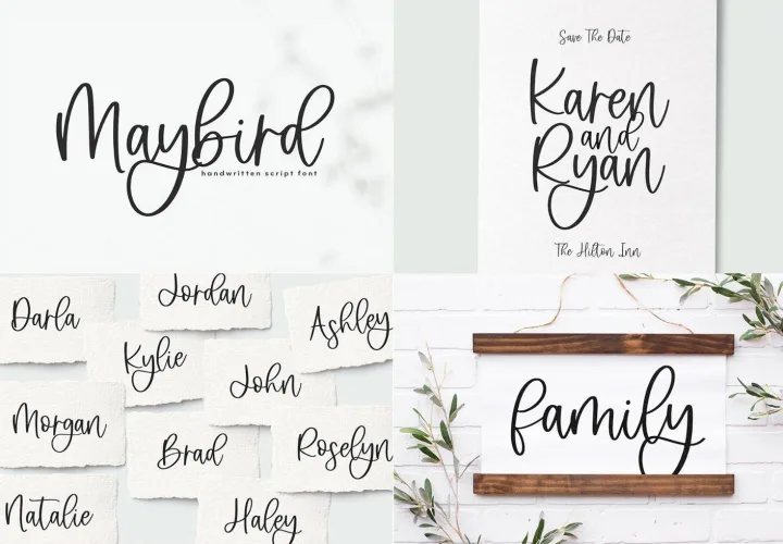 Modern Script Fonts Bundle preview 8 – Modern Fonts font sample