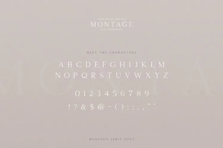 Montage Font preview 4 – Serif Fonts font sample
