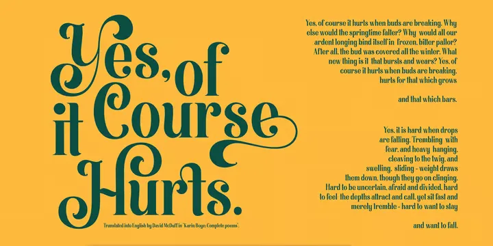 Morthern Font Family preview 3 – Script And Handwritten font sample