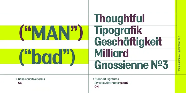 Multipa Font Family preview 4 – Sans Serif Fonts font sample