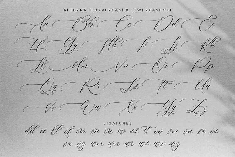 Multiverse – Luxurious Script Font preview 1 – Script And Handwritten font sample