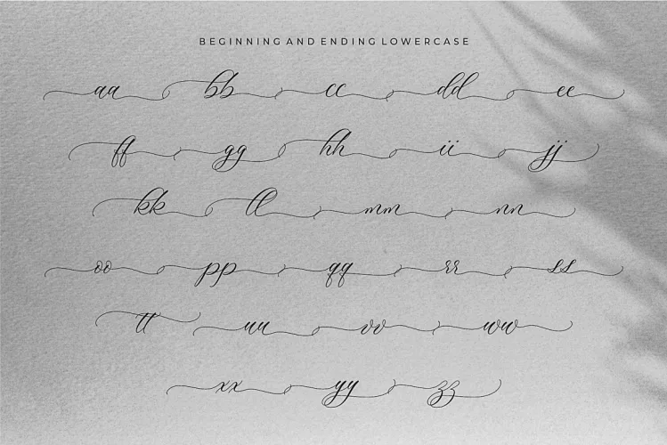 Multiverse – Luxurious Script Font preview 2 – Script And Handwritten font sample