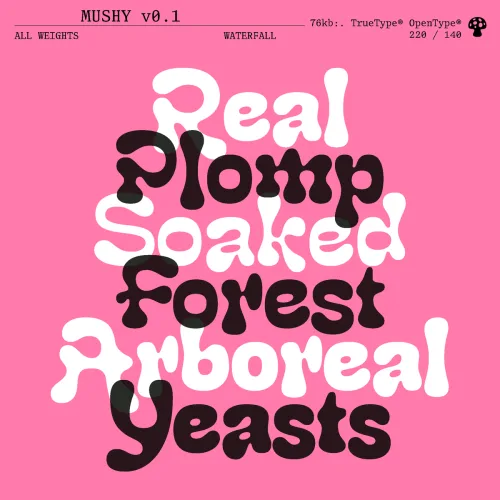 Mushy Font Family preview 4 – Display Fonts font sample
