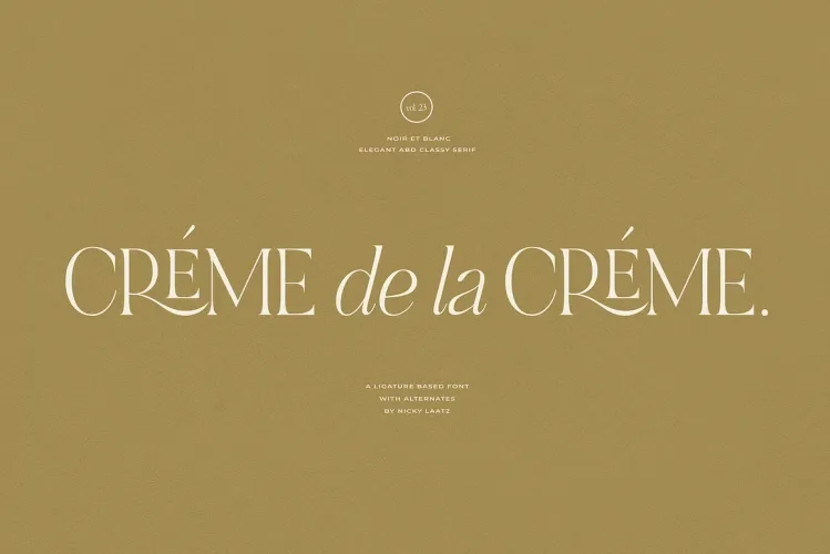 NOIR et BLANC Font preview 2 – Serif Fonts font sample
