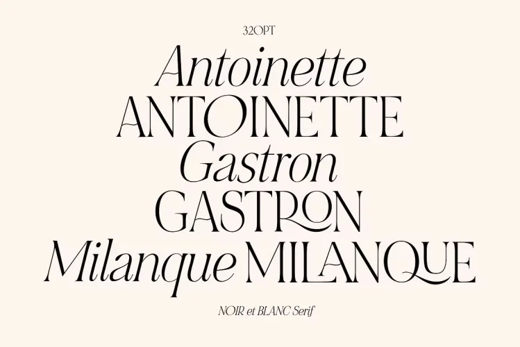 NOIR et BLANC Font preview 3 – Serif Fonts font sample