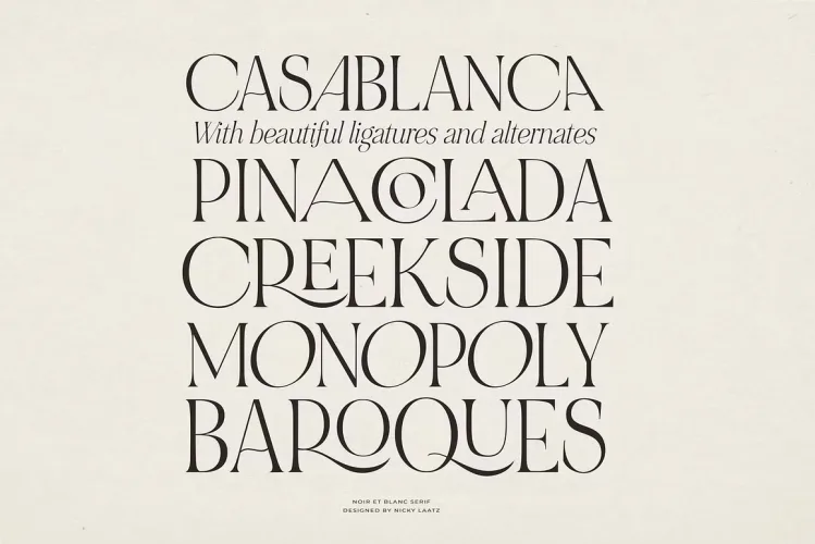 NOIR et BLANC Font preview 9 – Serif Fonts font sample