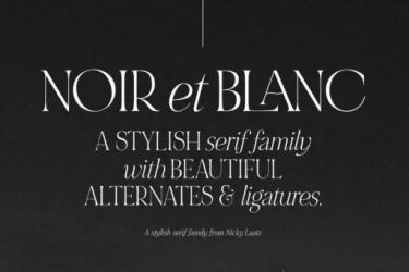 NOIR et BLANC Font free download – Serif font preview