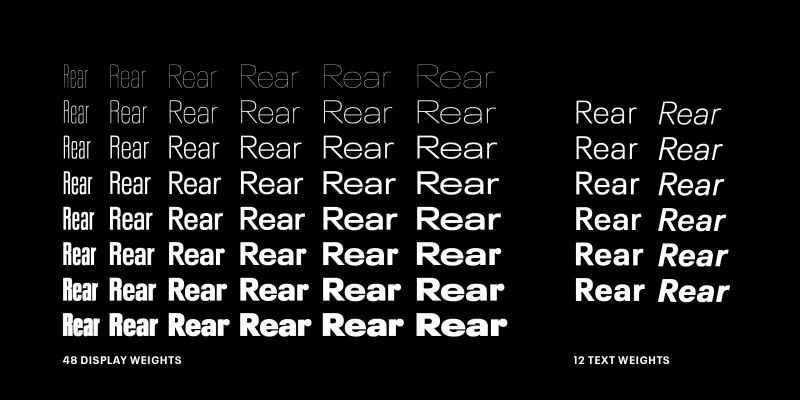 Neue Plak Font preview 3 – Sans Serif Fonts font sample
