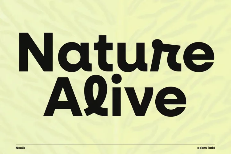 Neulis Font preview 7 – Sans Serif Fonts font sample