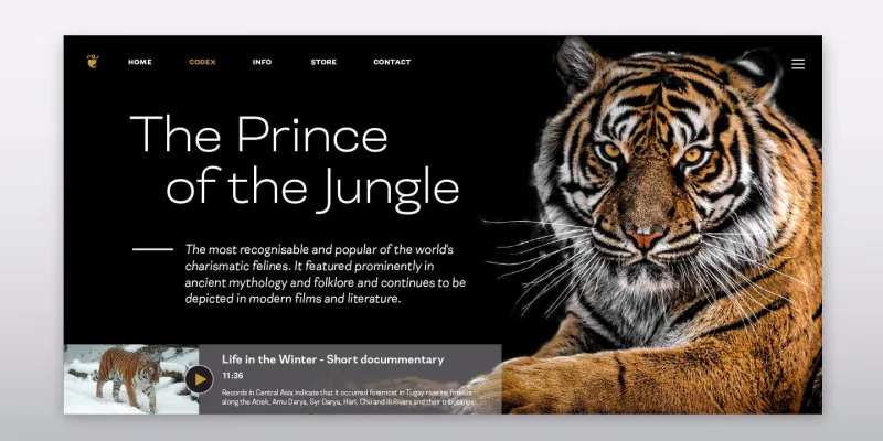 Nova Grotesk Font Family preview 5 – Sans Serif Fonts font sample
