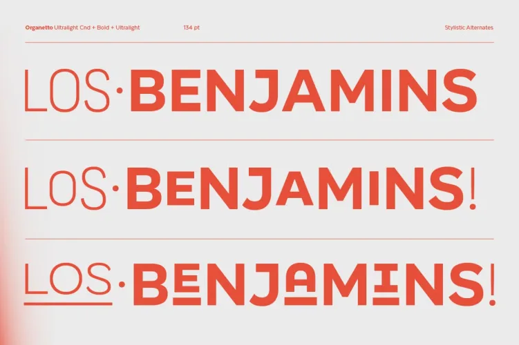 Organetto Font preview 10 – Sans Serif Fonts font sample