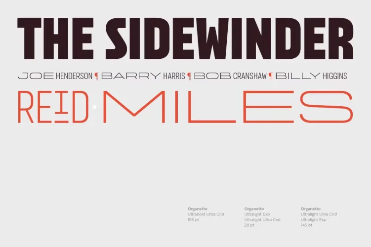 Organetto Font preview 9 – Sans Serif Fonts font sample