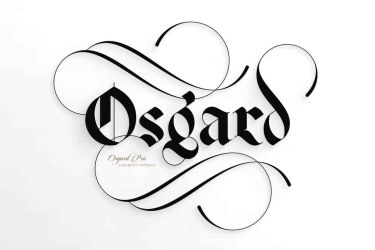 Osgard Pro Font free download – Branding font preview