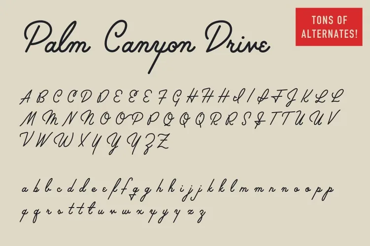 Palm Canyon Drive Font preview 4 – Script And Handwritten font sample