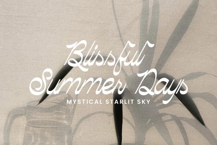 Palmhead Classy Script Font preview 3 – Script And Handwritten font sample