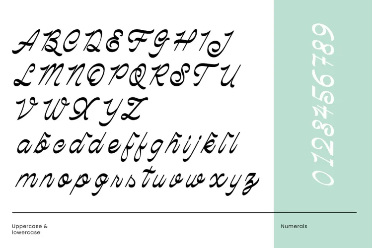 Palmhead Classy Script Font preview 4 – Script And Handwritten font sample