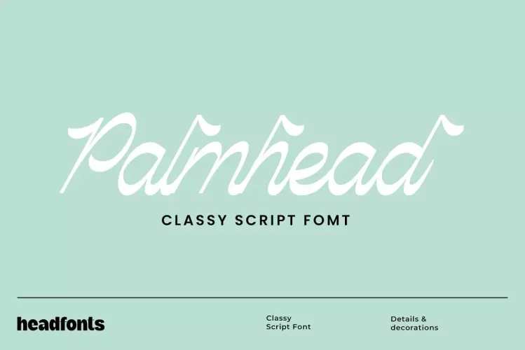 Palmhead Classy Script Font preview 5 – Script And Handwritten font sample