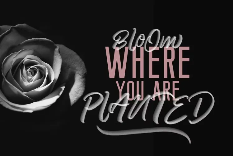 Pattaya Font preview 6 – Script And Handwritten font sample