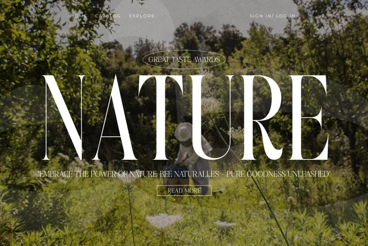 Peach Charley Modern Serif Font preview 3 – Serif Fonts font sample