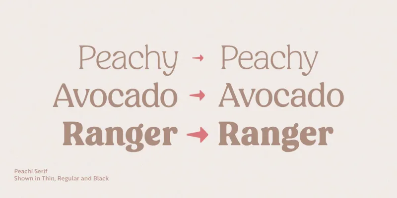 Peachi Font preview 3 – Serif Fonts font sample