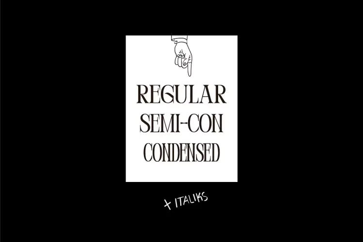 Perandory Font preview 2 – Serif Fonts font sample