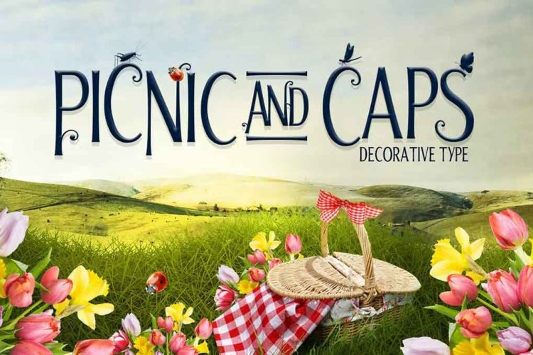 Picnic Caps Font free download preview 4 – Serif Fonts font