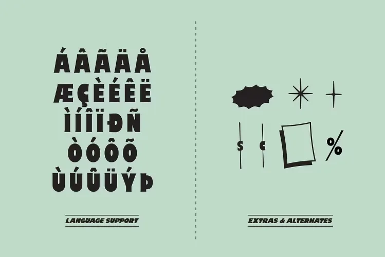 Price Check Font preview 5 – Display Fonts font sample