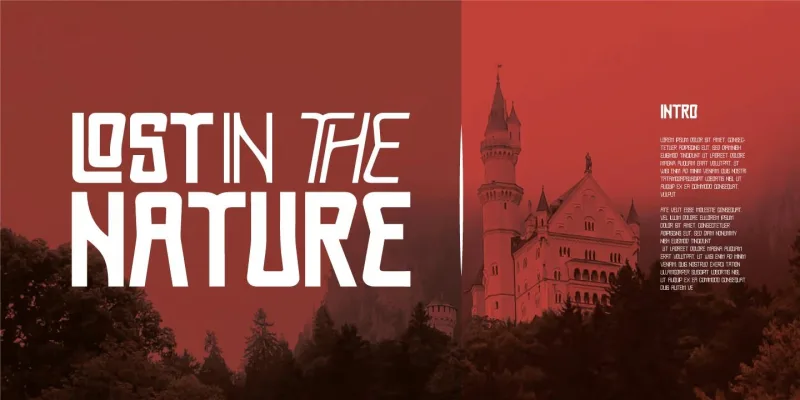 Proach Font preview 3 – Font Family font sample