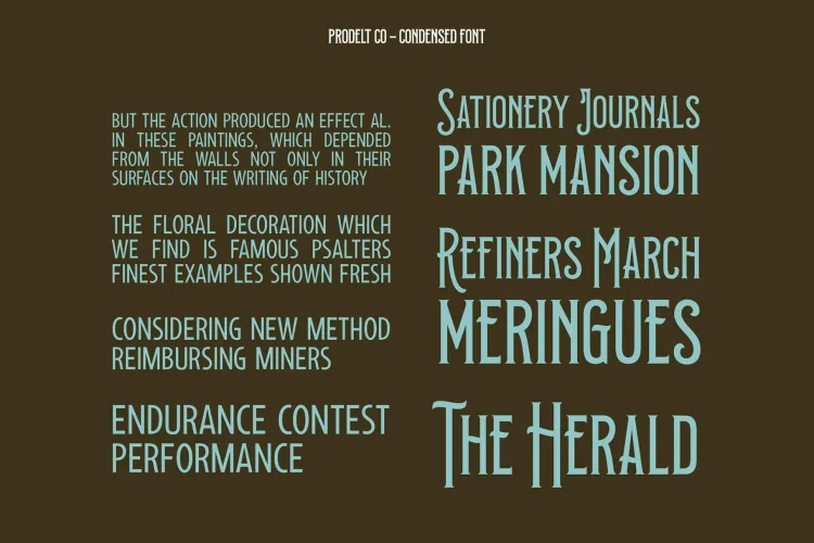 Prodelt Co Font Family preview 2 – Font Family font sample