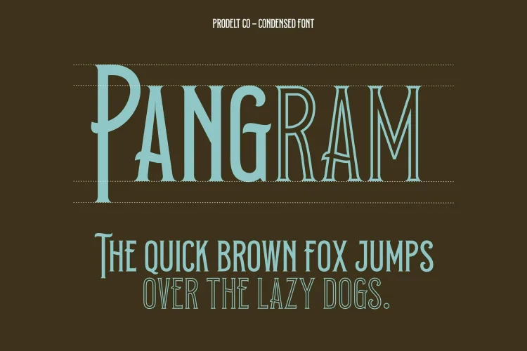 Prodelt Co Font Family preview 4 – Font Family font sample