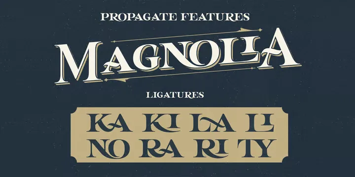 Propagate Font preview 2 – Display Fonts font sample