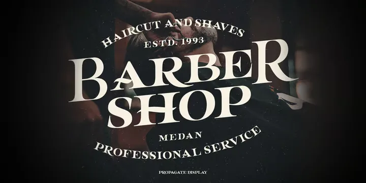 Propagate Font preview 9 – Display Fonts font sample