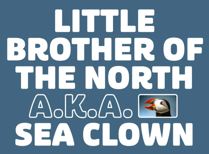 Puffin Font Family preview 2 – Font Family font sample