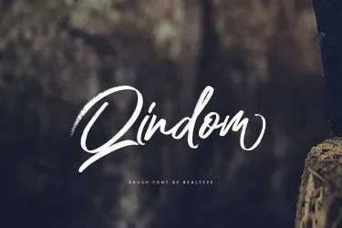 Qindom Brush Font free download – Script And Handwritten preview